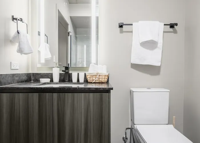 Appartement W Loop W Pool Gym Nr Restaurant Row Chi-264 Chicago